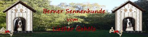 Banner Liether Gehlz