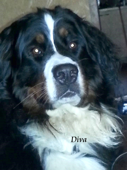 Diva 09.2014