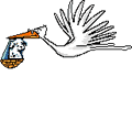 Storch mit Baby